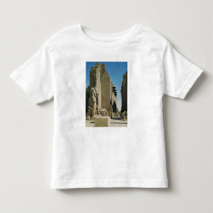 Camiseta Infantil Ideia da grande corte, entrada ao hipostilo