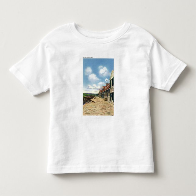 Camiseta Infantil Ideia da plataforma sul (Frente)