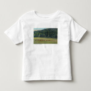 Camiseta Infantil Ideia de um bloco dos cervos que pastam