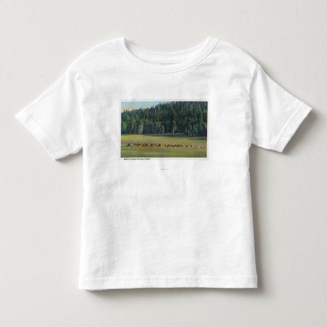 Camiseta Infantil Ideia de um bloco dos cervos que pastam (Frente)