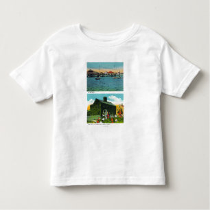 Camiseta Infantil Ideia do beira-rio, casa de campo velha da hera na
