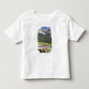 Camiseta Infantil Ideia do complexo do monastério