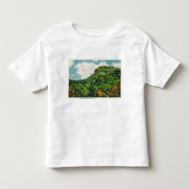 Camiseta Infantil Ideia do parque estadual do entalhe de Franconia (Frente)