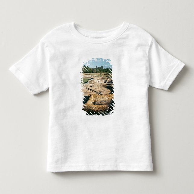 Camiseta Infantil Ideia dos banhos térmicos (Frente)
