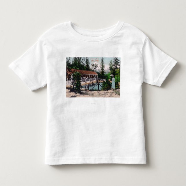 Camiseta Infantil Ideia dos primaveras nadadores de PoolAdams, CA (Frente)