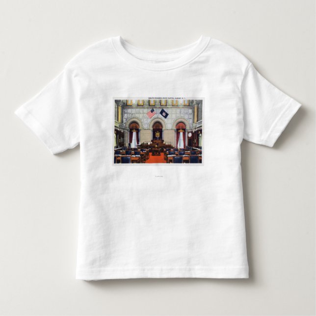Camiseta Infantil Ideia interior da câmara de Senado do Capitólio do (Frente)