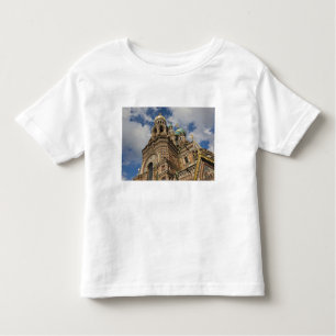 Camiseta Infantil Igreja do Salvador de Sangue Derramado