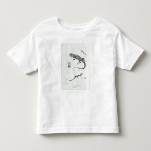 Camiseta Infantil Iguana Shingled
