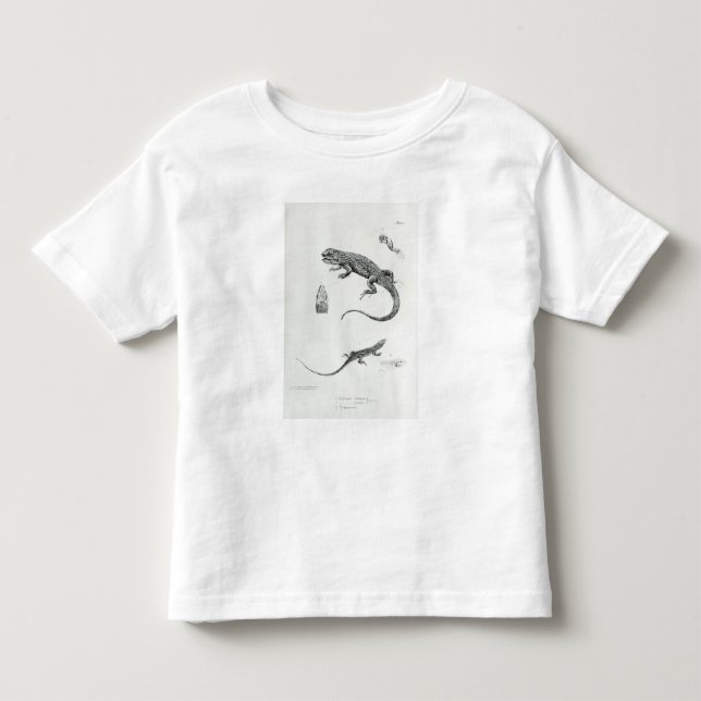 Camiseta Infantil Iguana Shingled (Frente)