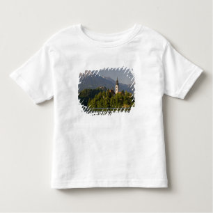 Camiseta Infantil Ilha da Assunção, Lago