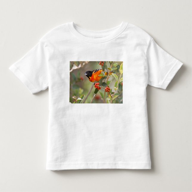 Camiseta Infantil Ilha do Padre do Sul, Texas, EUA, Baltimore Oriole (Frente)