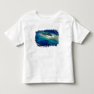 Camiseta Infantil Ilha Eori, Ilhas Mamanuca, Fiji - aérea