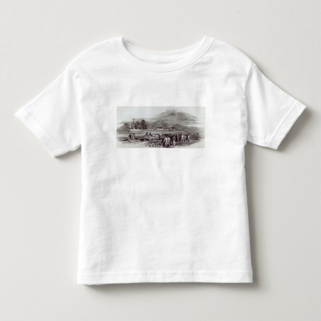 Camiseta Infantil Ilha Norfolk (Frente)