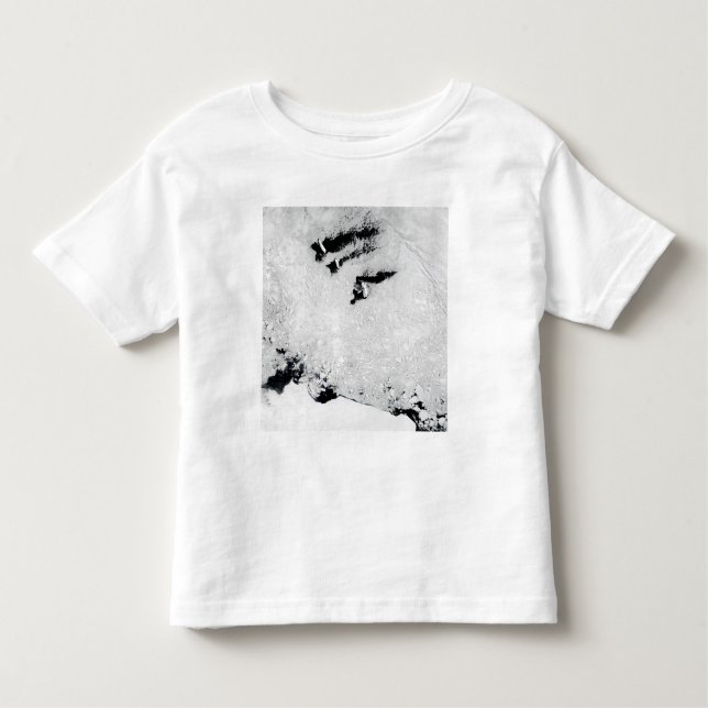 Camiseta Infantil Ilhas Balleny, perto da Antártica (Frente)
