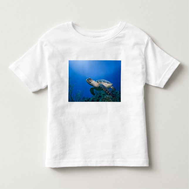 Camiseta Infantil Ilhas Cayman, Ilha Little Cayman, Submarino 2 (Frente)