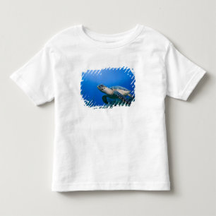 Camiseta Infantil Ilhas Cayman, Little Cayman Island, Subaquático 2