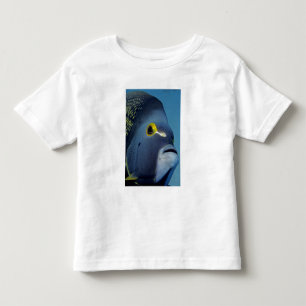 Camiseta Infantil Ilhas Cayman, Peixe-anjo-francês Pomacanthus