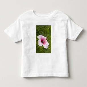 Camiseta Infantil Ilhas Cook, Atiu. Flor de hibisco.
