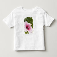 Ilhas Cook, Atiu. Flor de hibisco.