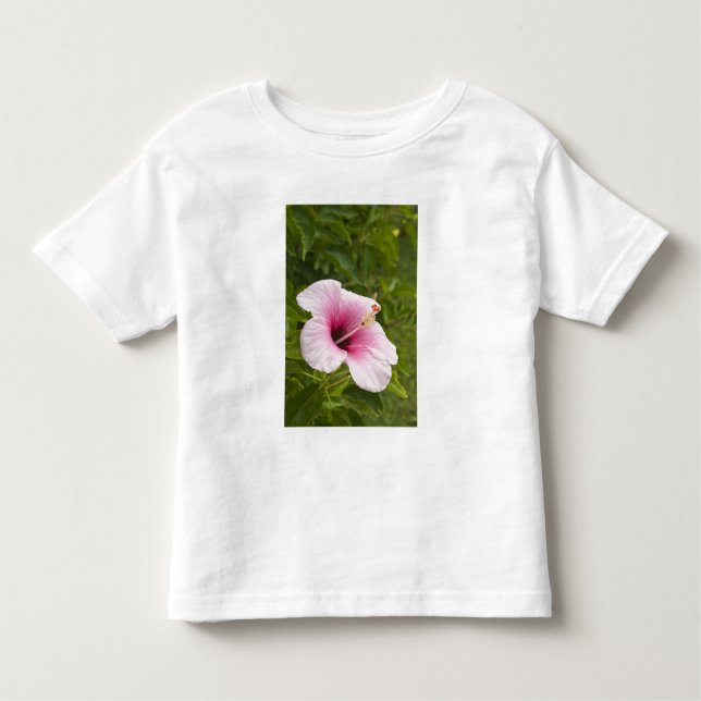 Camiseta Infantil Ilhas Cook, Atiu. Flor de Hibiscus. (Frente)