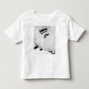 Camiseta Infantil Ilhas de Balleny, perto da Antártica