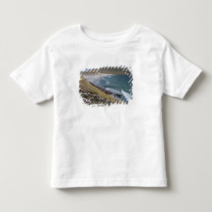 Camiseta Infantil Ilhas Falkland, West Falkland, Saunders