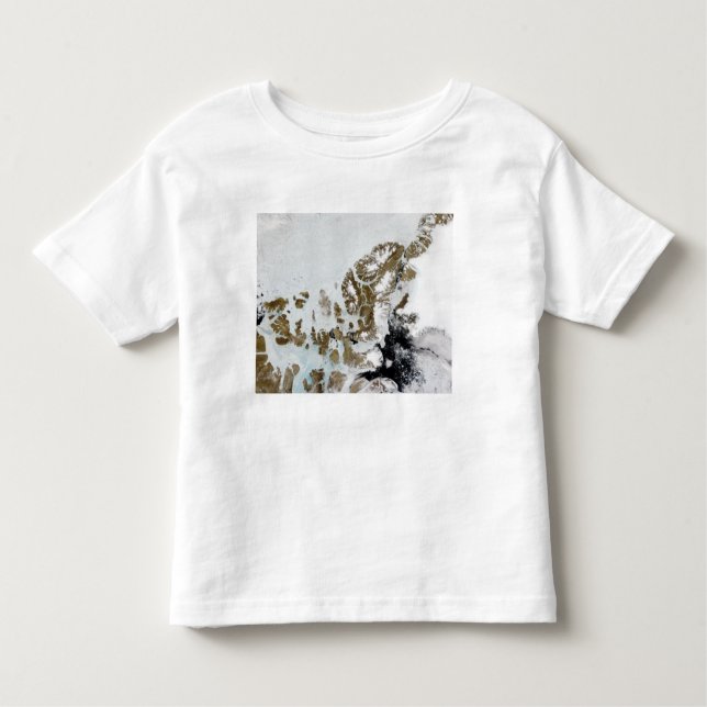 Camiseta Infantil Ilhas Rainhas Elizabeth 2 (Frente)