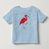Ilustração de desenho animado de aves Scarlet ibis