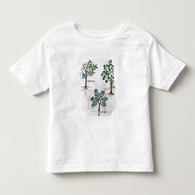 Camiseta Infantil Ilustração 'do livro de medicinas simples (Frente)