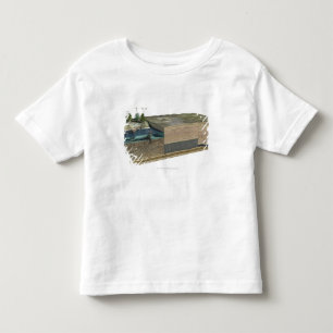 Camiseta Infantil Ilustração que mostra a formação de carvão