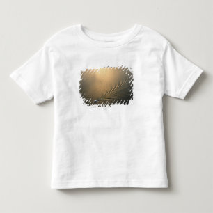 Camiseta Infantil imagem aérea de barco no Lago Gatun Panamá