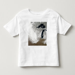 Camiseta Infantil imagem da Verdadeiro-cor da neve