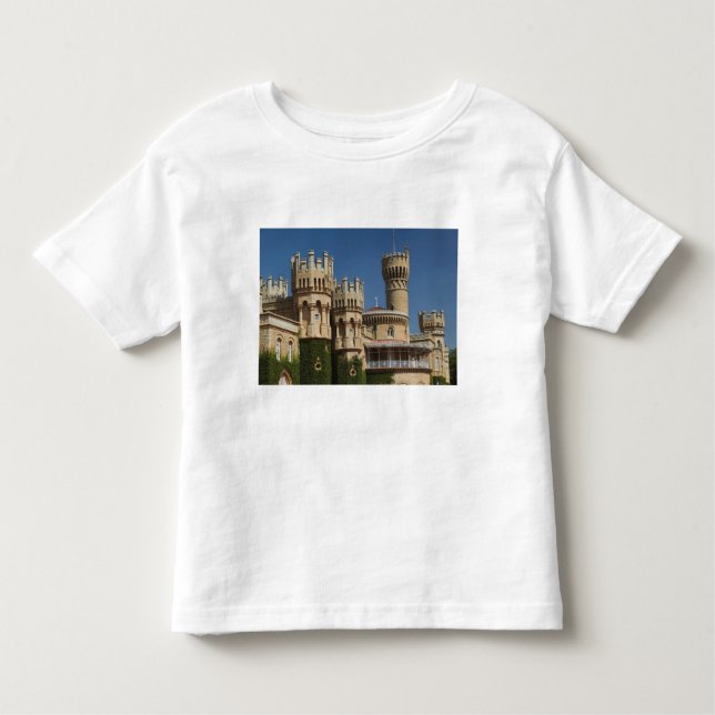 Camiseta Infantil ÍNDIA, Karnataka, Bangalore: Palácio de Bangalore (Frente)
