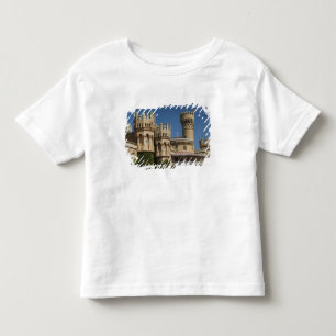 Camiseta Infantil ÍNDIA, Karnataka, Bangalore: Palácio de Bangalore