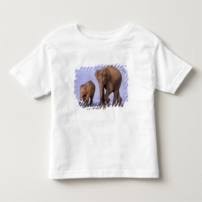 Camiseta Infantil Índia, Parque Nacional Nagarhole. Elefante asiátic (Frente)
