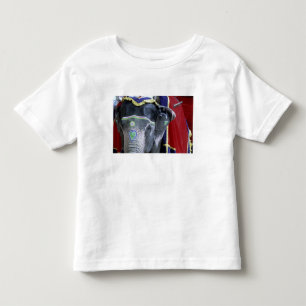 Camiseta Infantil Índia, Rajasthan, Jaipur. Forte de Amber.
