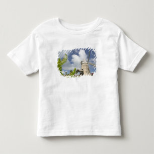 Camiseta Infantil Índias Ocidentais Francesas, Guadeloupe, Marie, Ga