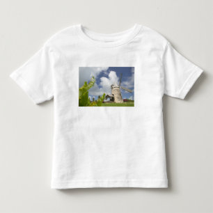 Camiseta Infantil Índias Ocidentais Francesas, Guadeloupe, Marie, Ga