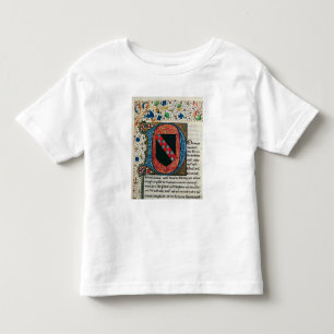 Camiseta Infantil Inicial "D" de Historiated que descreve a brasão