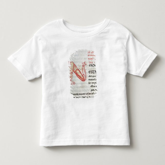 Camiseta Infantil Inicial 'N de Historiated (Frente)