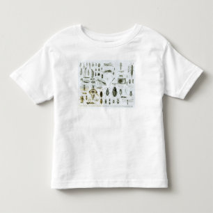 Camiseta Infantil Insetos da entomologia