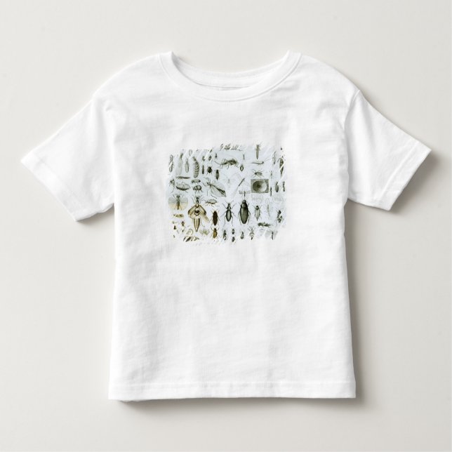 Camiseta Infantil Insetos da entomologia (Frente)