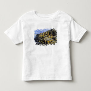 Camiseta Infantil Irlanda do Norte, Condado de Antrim, Gigante