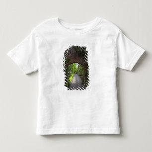 Camiseta Infantil Irlanda, o Castelo Dromoland muito verde