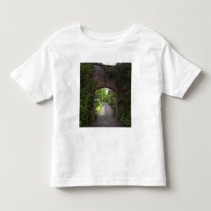 Camiseta Infantil Irlanda, o Dromoland Castle muito verde