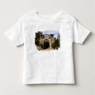 Camiseta Infantil Irlanda, o Jardim Murado do Castelo de Dromoland