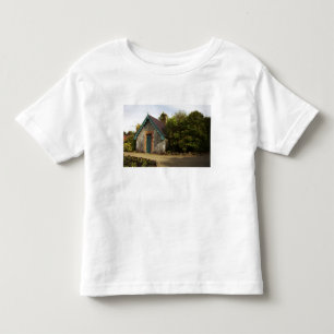 Camiseta Infantil Irlanda, o jardim murado do Castelo Dromoland