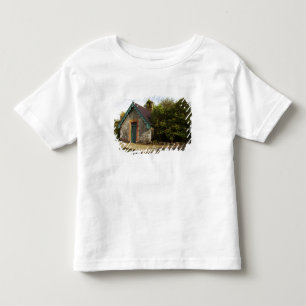 Camiseta Infantil Irlanda, o jardim murado do Castelo Dromoland