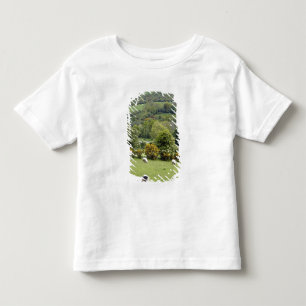 Camiseta Infantil Irlanda Ocidental, Península de Dingle, ampla