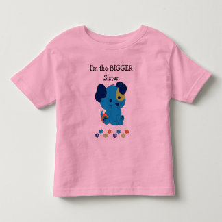 Camiseta Infantil Irmã Grande